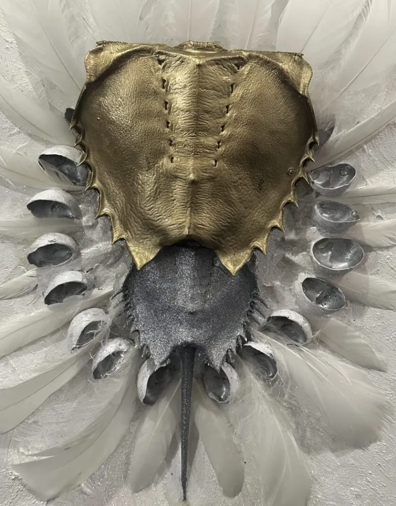 YWCA Greenwich Gertrude White Gallery to Feature Work of Nicole Cantore Koester