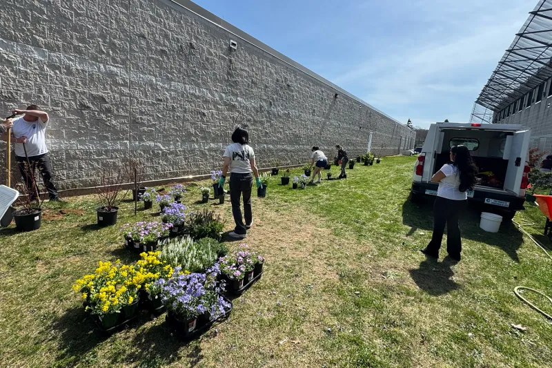 UConn Students Bring Landscape Design to Connecticut Correctional Facilities
