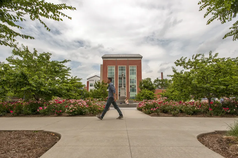 Neag School Celebrates New Faculty and Recent Leadership Appointments