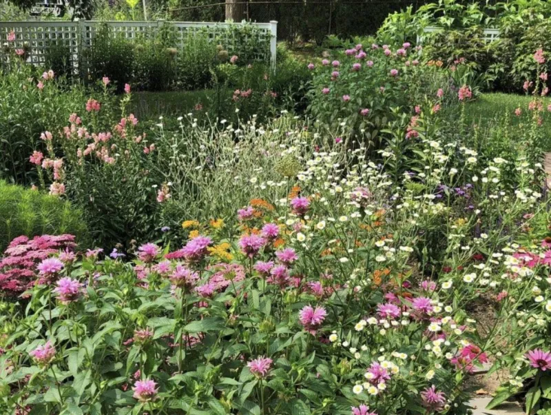 Greenwich Green & Clean Announces Nominations are Open for Beautification Awards
