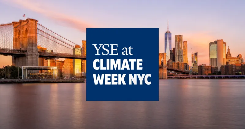 Capital, cities, carbon: YSE experts preview Climate Week NYC