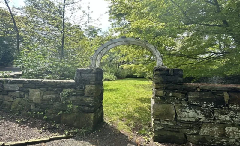 Proposed Dog Park Raises Concerns about Loose Dogs in Byram Park