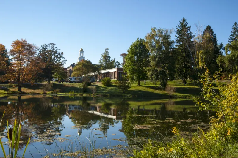 UConn Nursing Faculty Named Academy Fellows