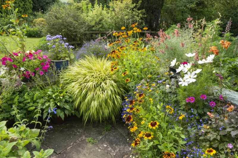 Online Home Gardening Course Brings Research-Based Education to Gardeners