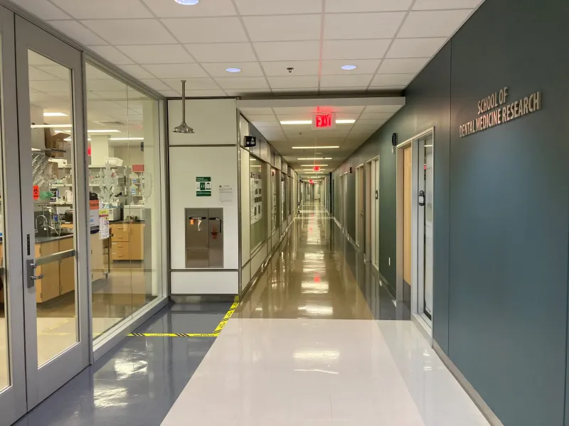 School of Dental Medicine Achieves Record Research Funding