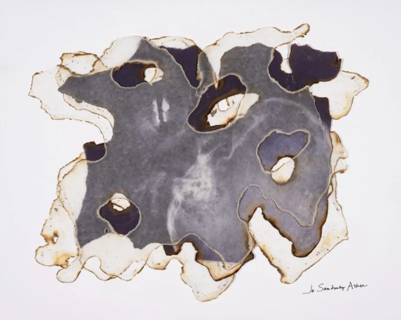 Bruce Museum Presents "Jo Sandman: What Remains"