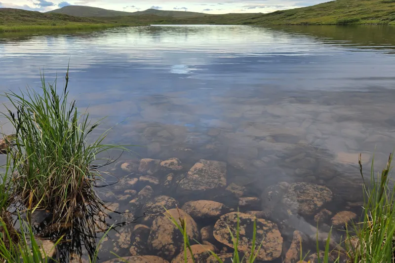 Snapshot From the Field: Studying Ecosystem Evolution in the Fastest Warming Region on Earth