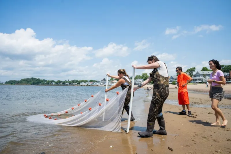 NBC Connecticut Spotlights Southern's Coastal Resilience Program