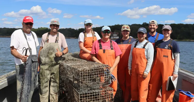 More than 4,000 abandoned lobster traps hauled from Long Island Sound in 4 years