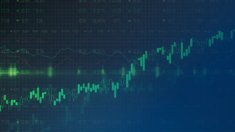 Why does the market rise when investors expect it to fall?