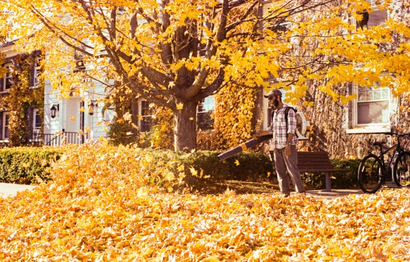 Gas-Powered Leaf Blowers are Banned in this Massachusetts Town