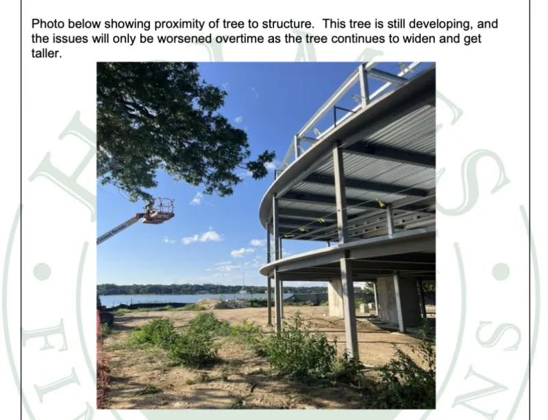 P&Z Says No to Removing Oak Tree from Approved Landscape Plan at 40 West Way