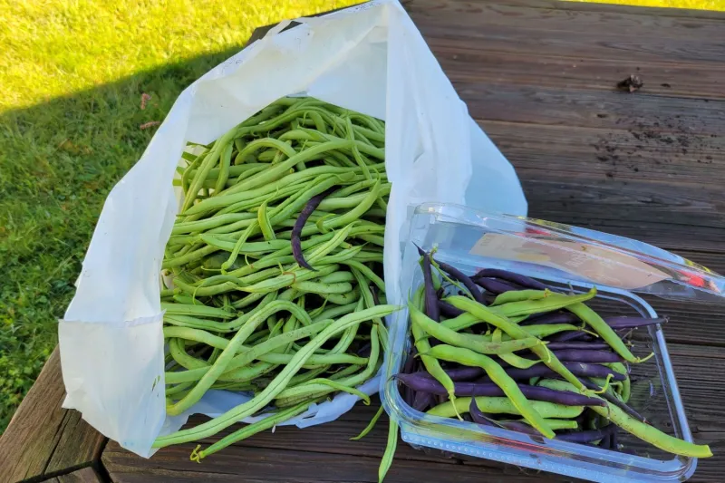 Helping Gardens Grow Across Connecticut