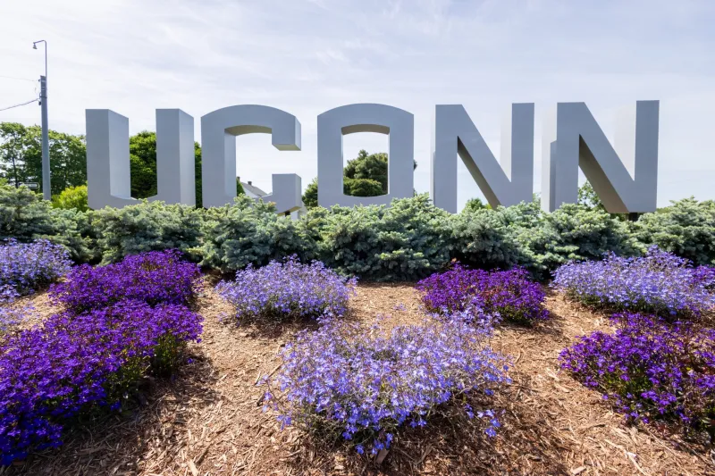 Rankings Show UConn Growing in Global Visibility as Quality, Value are Lauded