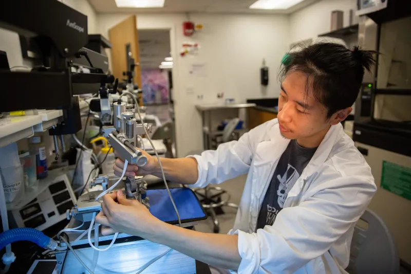 A Brainstem Signal Reorganizes the Neural Code for Taste
