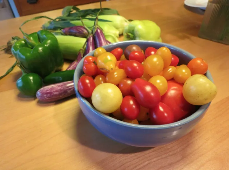 A Renewed Plea to Safeguard SNAP in the Farm Bill