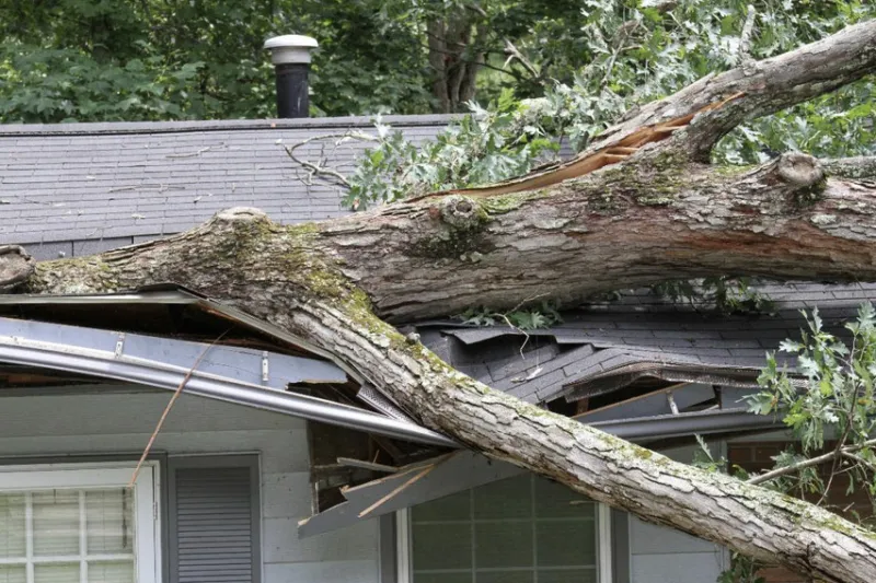 BBB CT Warns Property Owners to Beware of Storm Chasers After Nor'easter