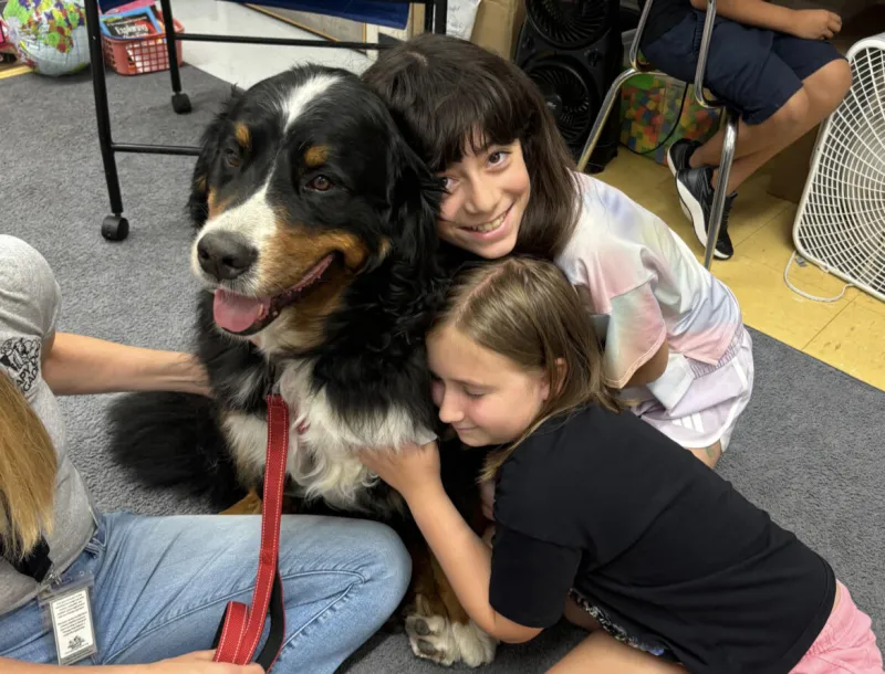Fast-growing Therapy Dog Brigade Is Recruiting Teams for Visits to Hospitals, Schools, Senior Residences, Libraries and Community Organizations