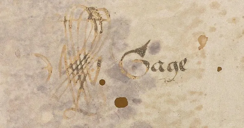 Yale's Takamiya Collection helps solve mystery of medieval fragments