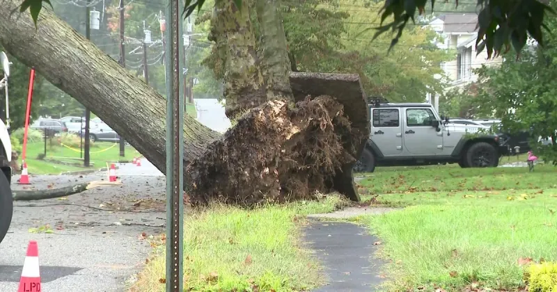 Nor'easter brings down trees, causes flooding in New York, New Jersey area