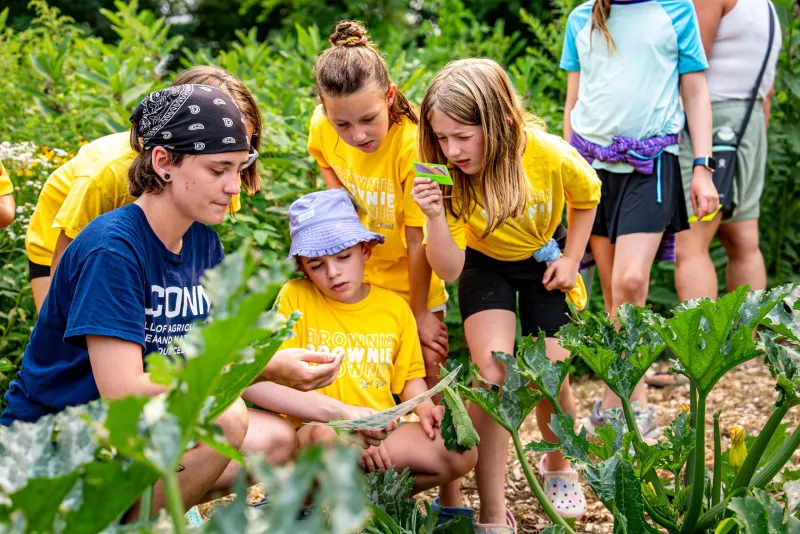 Plant Lovers Wanted: Study Highlights Demand for Citizen Science