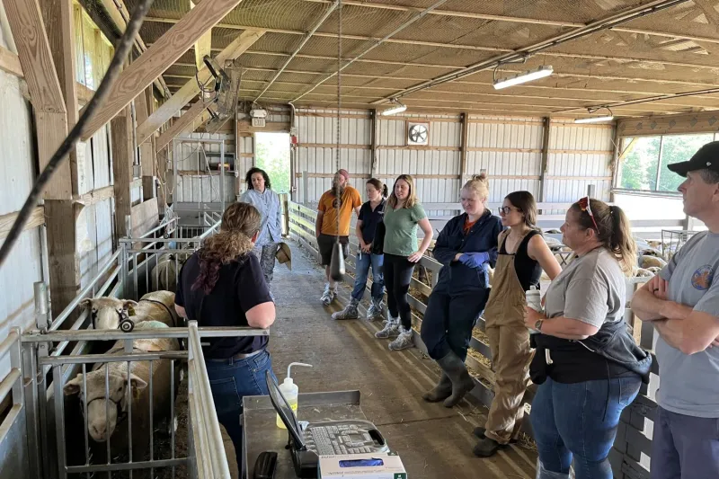 Building Capacity for Livestock Production in Southern New England