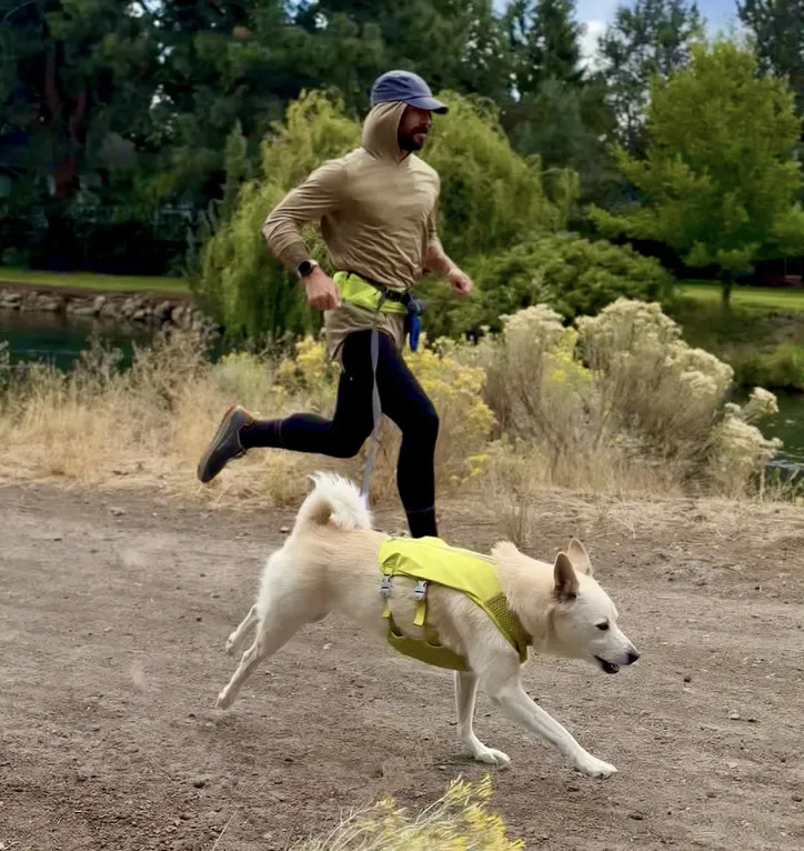 Greenwich Native Plans "Backyard-Style Ultra Marathon" to Benefit Street Dog Hero
