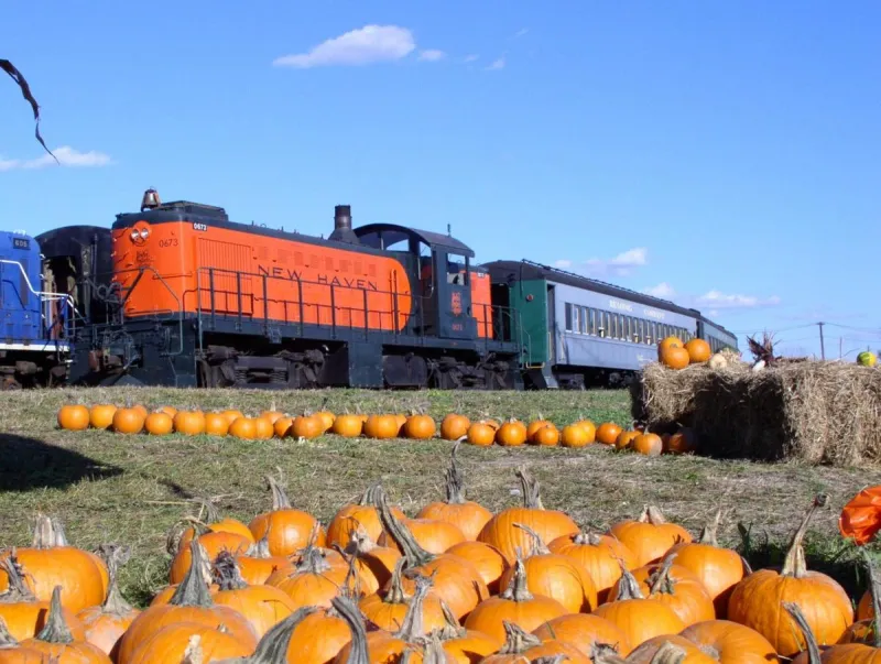 Danbury Pumpkin Patch Train Returns to the Danbury Railway Museum