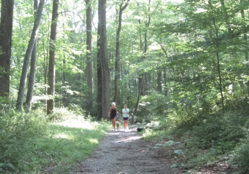 State Reps Meskers and Arzeno Announce DEEP Grant for Greenwich Trail Improvements
