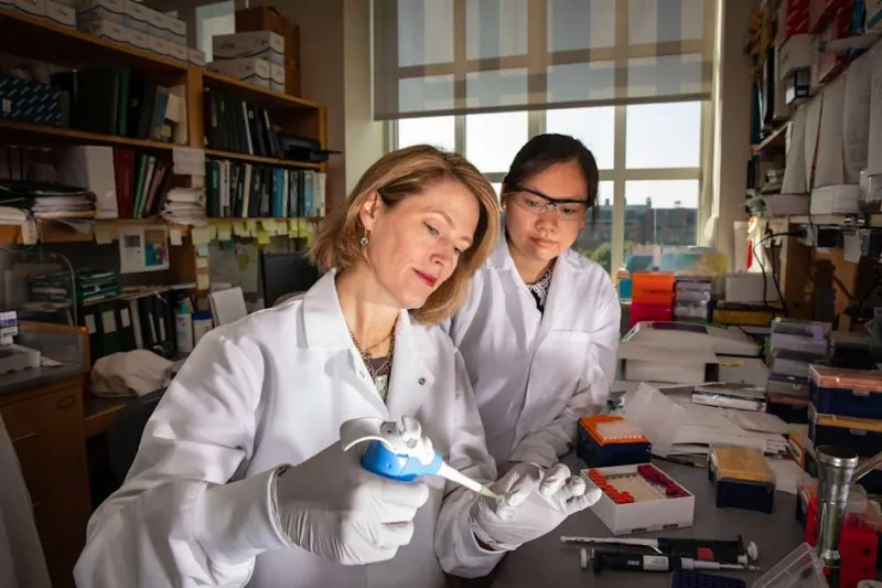 Enhancing CAR-T therapy: From cancer to autoimmune diseases