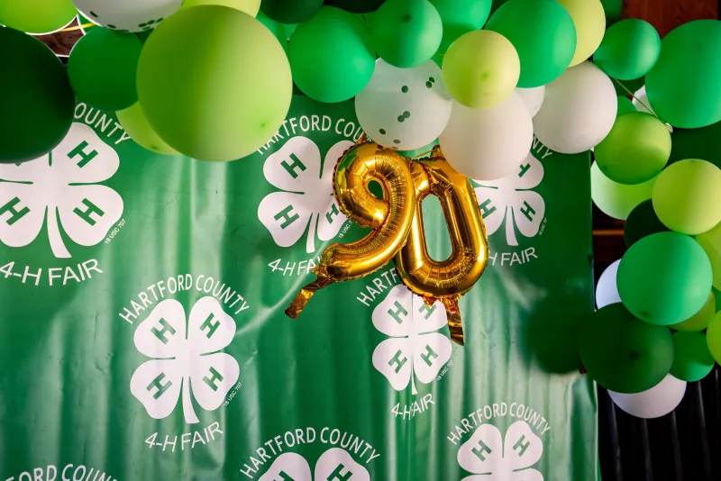 From 4-H Member to Healthcare Leader: A Conversation with Davina Ferrero King