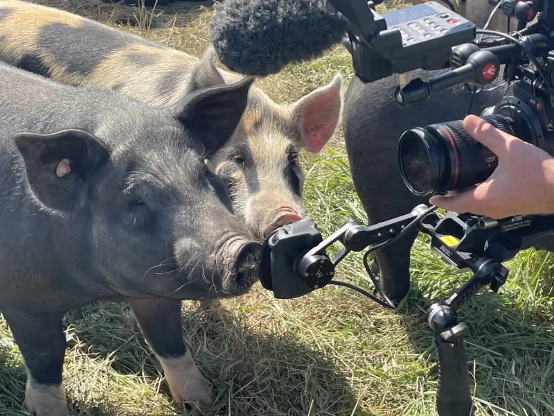 Lyme's Lisa Holmes Takes Farmers' Stories From Field to Film