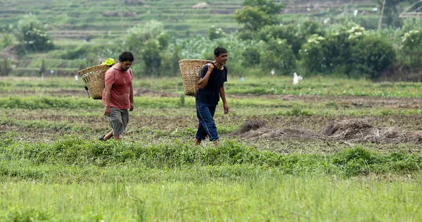 A low-tech intervention can help migrant families survive the 'lean season'