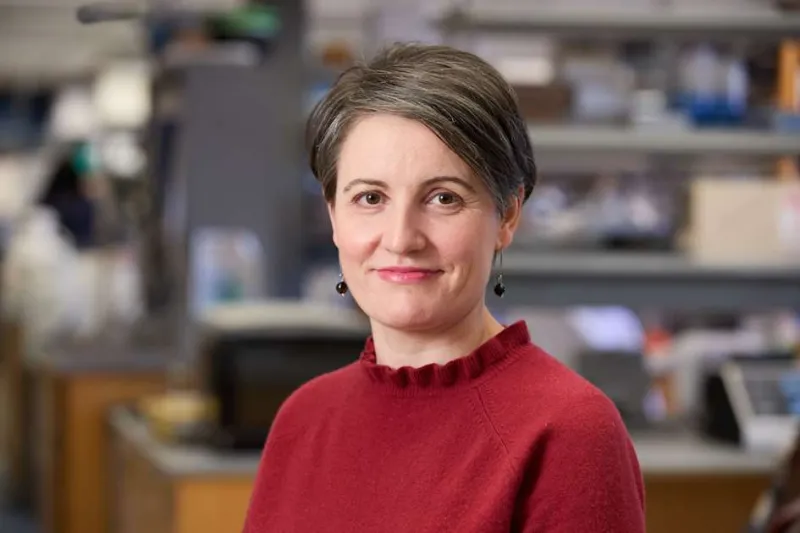 Nicoli wins NIH Pioneer Award to develop a new kind of mRNA therapy