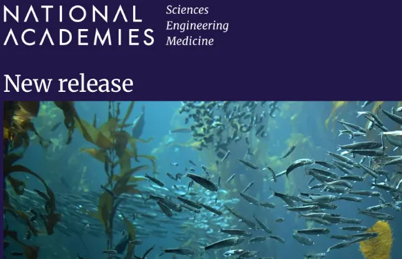 Yale researcher contributes to National Academies report on marine carbon dioxide removal
