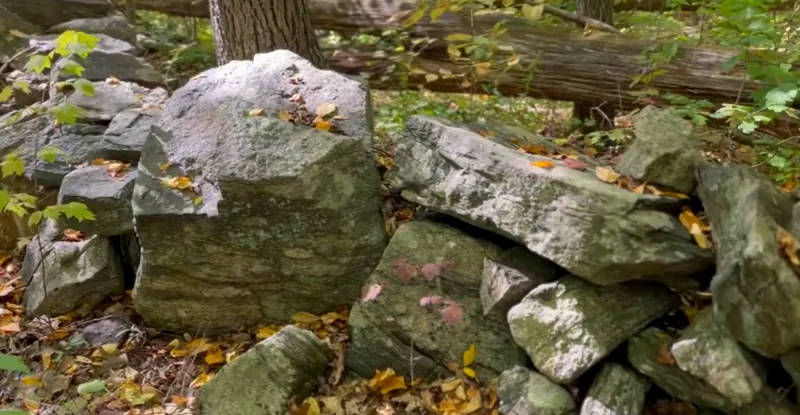 The Real Reason There Are Stone Walls Everywhere in Connecticut