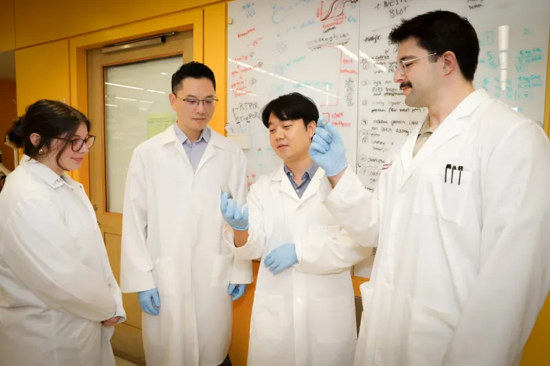 Bethel Fellowship Advances UConn Research on Osteoarthritis