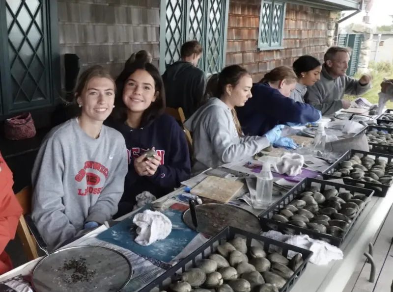 Volunteers Work to to Reestablish Eelgrass Growth in Offshore Waters