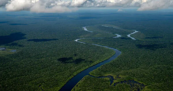 What finance can tell us about the 'twin crises' of climate change and biodiversity loss