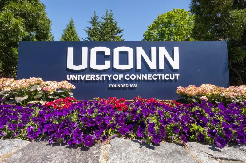 Lindsay DiStefano Appointed Vice President for Research, Innovation, and Entrepreneurship