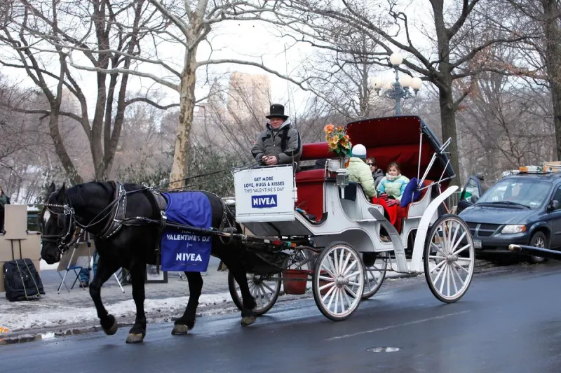 New York City Moves Closer to Banning Central Park Horse-Drawn Carriages