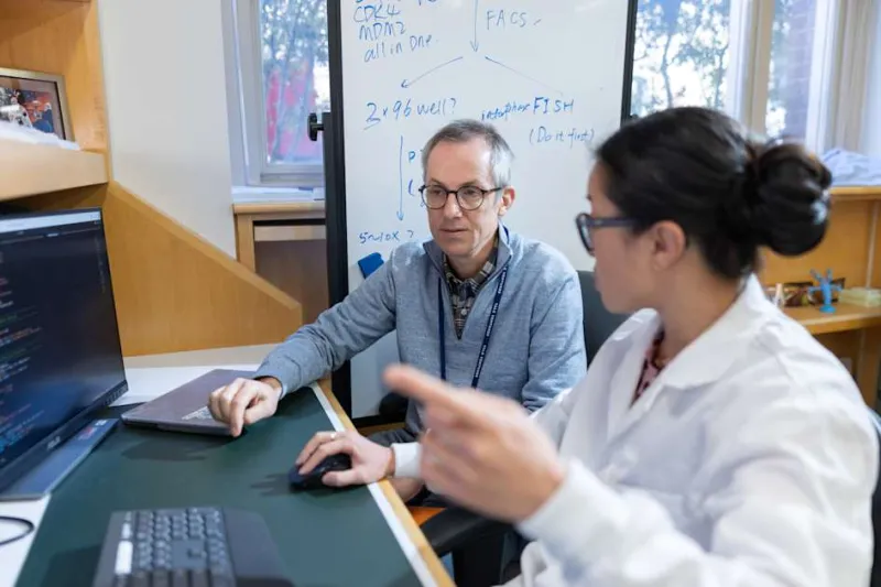 Two types of recurring brain cancer - radically different mutations