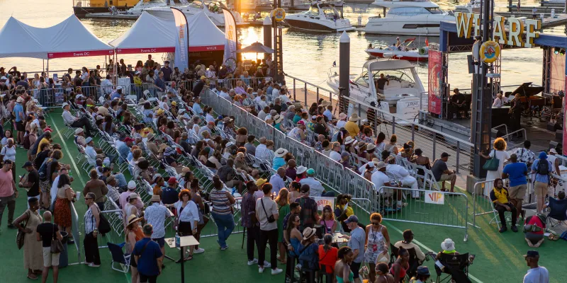 12 Great Concerts and Music Festivals in the DC Area This Summer