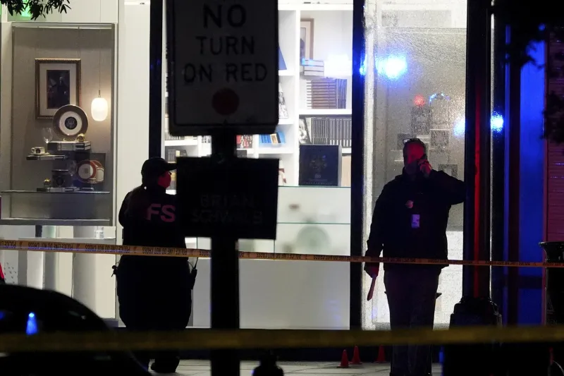 'Every second matters': How effective are post-9/11 counterterrorism systems against the 'lone actor'?