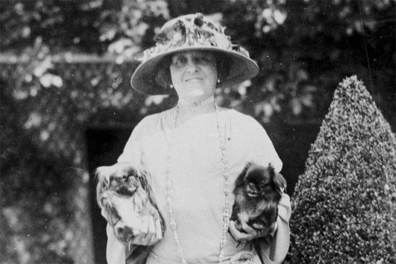 A rare Edith Wharton story is unearthed about the gap between everyday life and the horrors of WWI