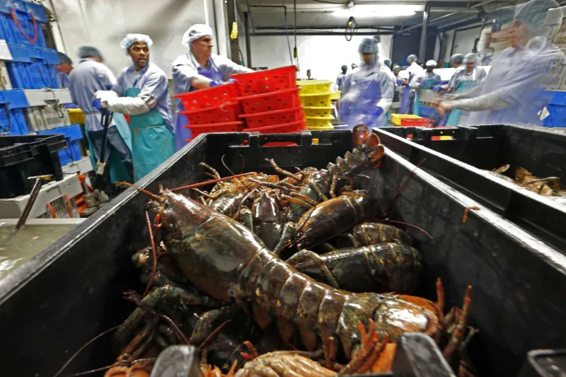 The government wants more of your seafood to come from U.S. waters