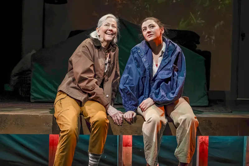 Kimberly Schraf Shines in Mosaic Theater's Uneven Precarious