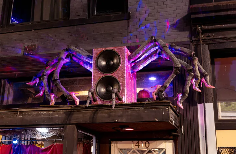 How a DC Gay Bar Faked the Disappearance of Its Famous Giant Spider