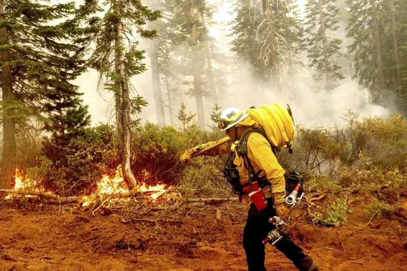 Federal wildland firefighters report increased burnout, low morale