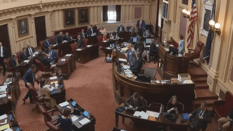 Virginia budget heads to governor, some lawmakers say it missed the mark in key areas